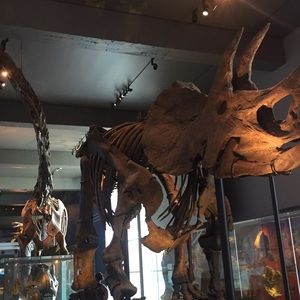 Meet your Posher, Firly